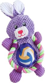 Steel Dog - Roper Flat Sport Bunny - Purple