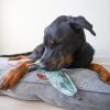 Steel Dog - Denim Muskie - Green