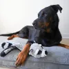 Steel Dog - Flat Bumpy Raccoon - Gray