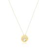 14k Yellow Gold Necklace with Dog Paw Print Symbol in Mother of Pearl - 16 inches