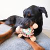 Steel Dog - Roper Flat Sport Bear - Orange
