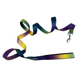American River Ombre Leash (Color: Cosmic Splash, Size: 5/8 inches wide x 4 feet long)