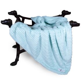 Paris Dog Blankets (Color: Ice, Size: SM)